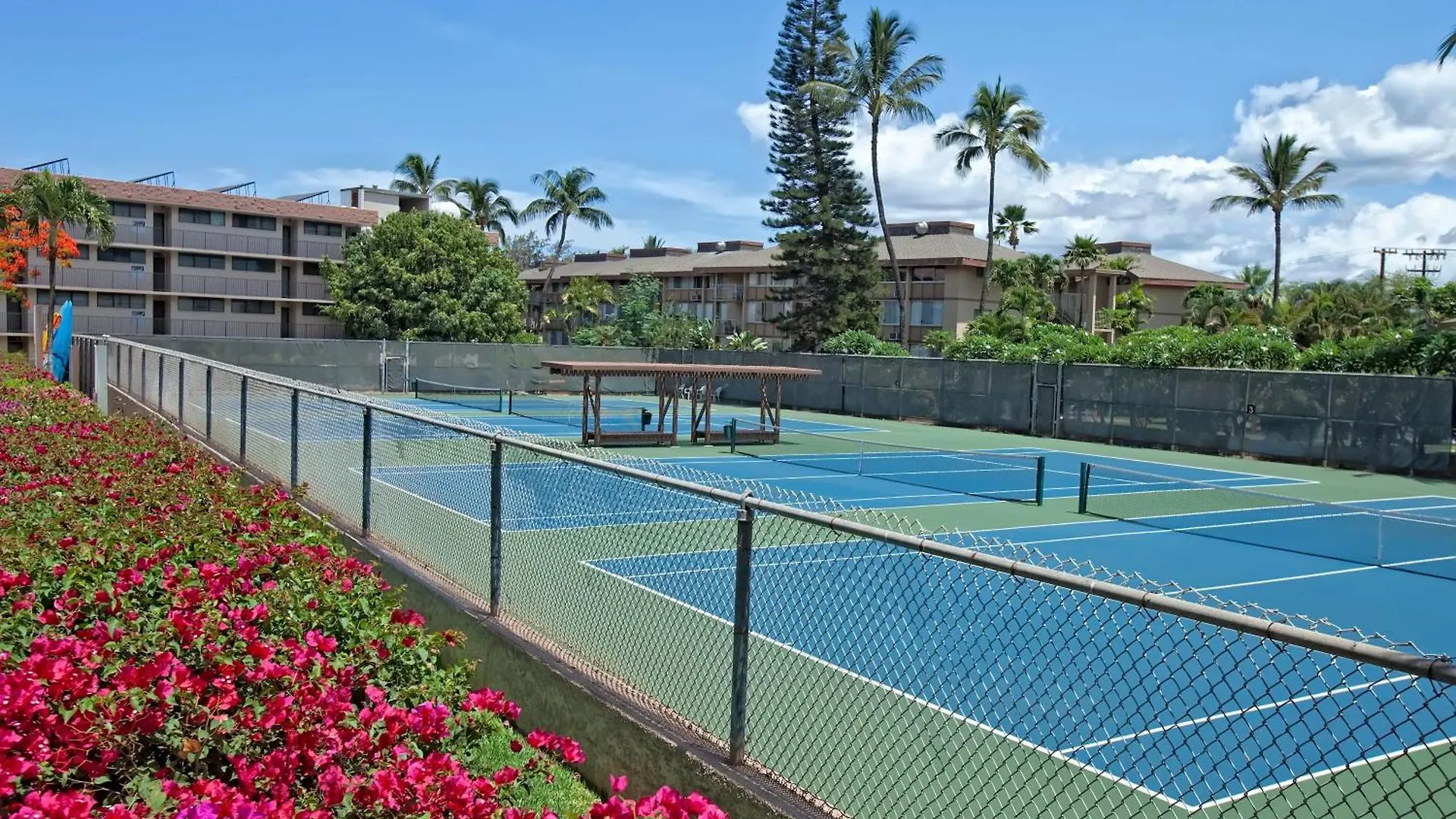 Kamaole Sands 4-312 - Mch Kihei 0*,  United States